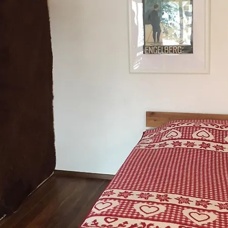 Apartman Sorenweg 4 2 Engelberg